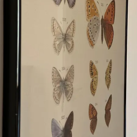 דירה Raabennest - Bewusst Geniessen Junges Wohnen Im Alten Dorf Jübek