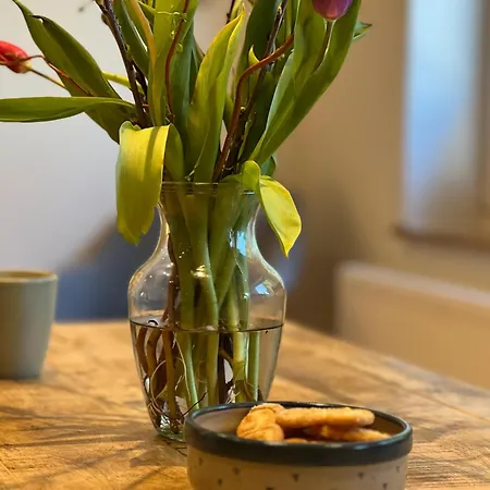 Raabennest - Bewusst Geniessen Junges Wohnen Im Alten Dorf